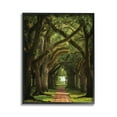 thumbnail image 1 of Stupell Industries Shadowed Tree Grove Landscape Photography Black Framed Art Print Wall Art, 11 x 14, 1 of 9