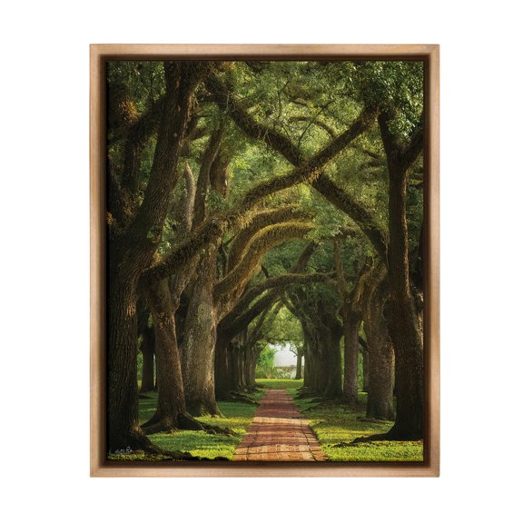 Stupell Industries Shadowed Tree Grove Landscape Photography Brown Floater Framed Canvas Art Print Wall Art, 25 x 31