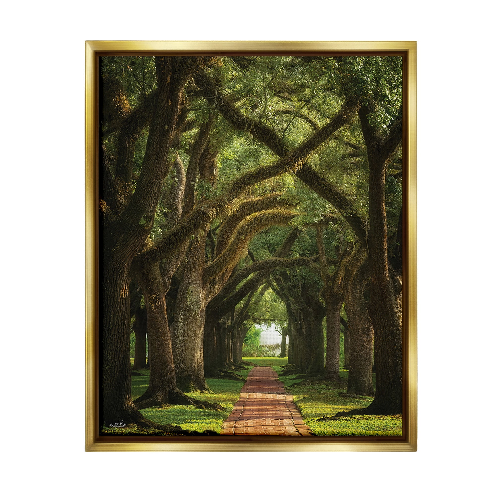 Stupell Industries Shadowed Tree Grove Landscape Photography Gold Floater Framed Canvas Art Print Wall Art, 17 x 21