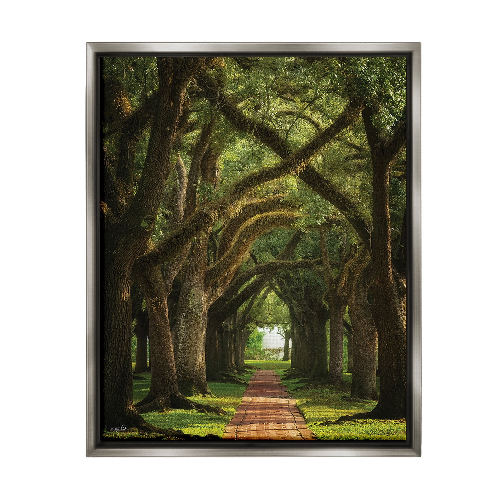Stupell Industries Shadowed Tree Grove Landscape Photography Gray Floater Framed Canvas Art Print Wall Art, 17 x 21