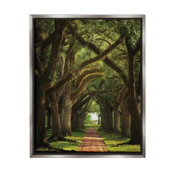 Stupell Industries Shadowed Tree Grove Landscape Photography Gray Floater Framed Canvas Art Print Wall Art, 25 x 31