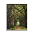 thumbnail image 1 of Stupell Industries Shadowed Tree Grove Landscape Photography Gray Framed Art Print Wall Art, 16 x 20, 1 of 9