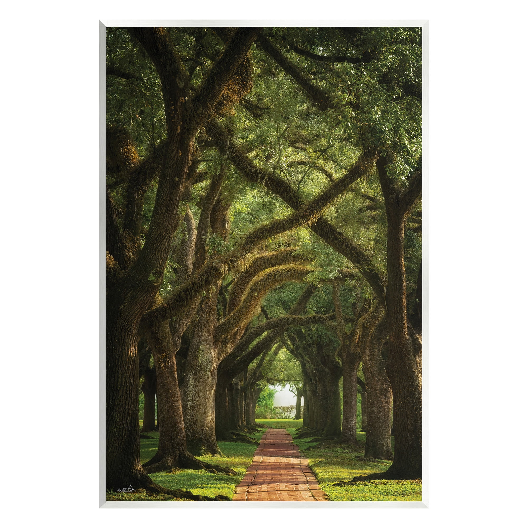 Stupell Industries Shadowed Tree Grove Landscape Photography Unframed Art Print Wall Art, 13 x 19