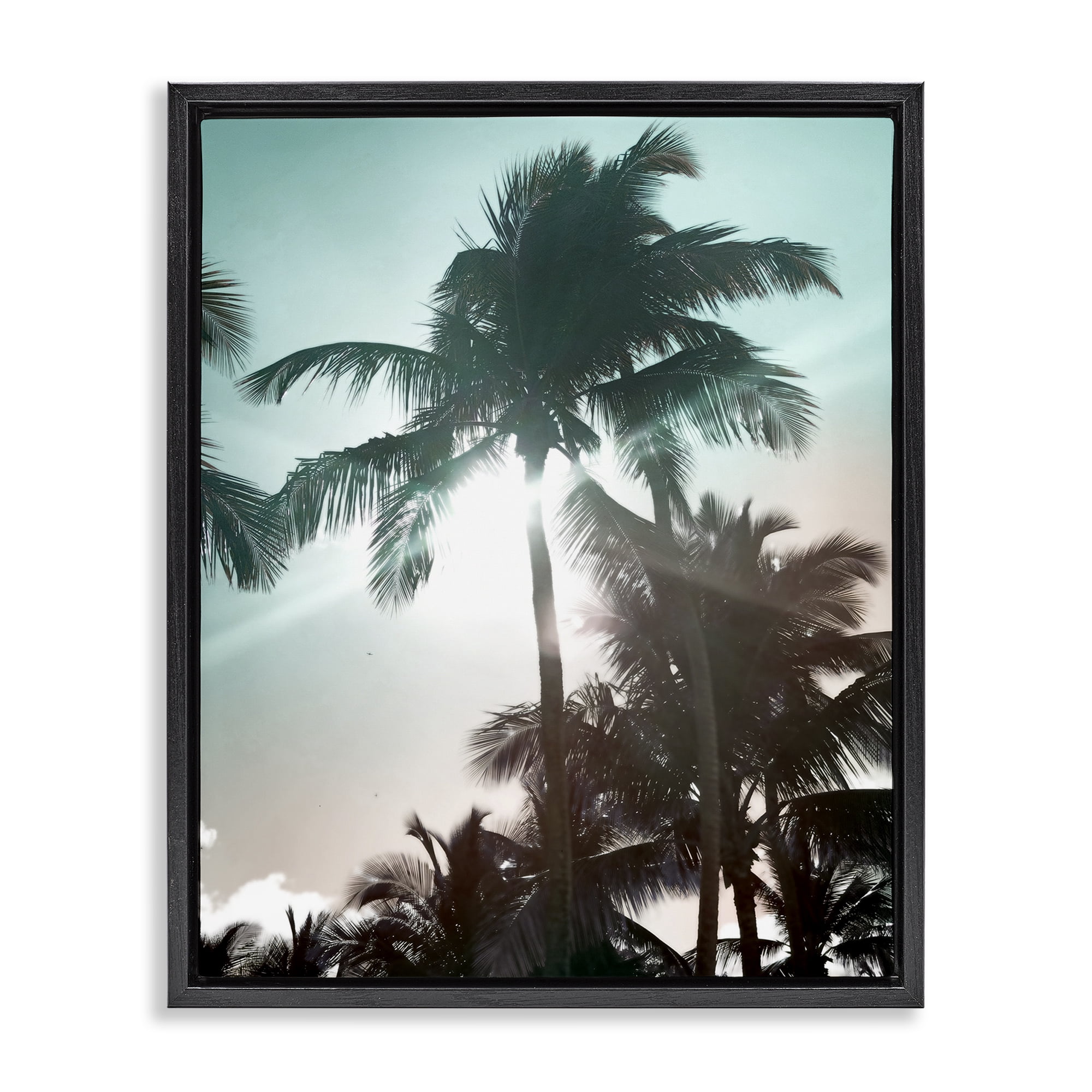 Stupell Industries Shady Palm Trees Coastal Photography Black Floater Framed Canvas Art Print Wall Art, 17 x 21