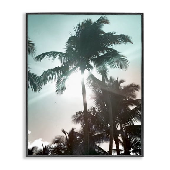 Stupell Industries Shady Palm Trees Coastal Photography Black Framed Art Print Wall Art, 16 x 20
