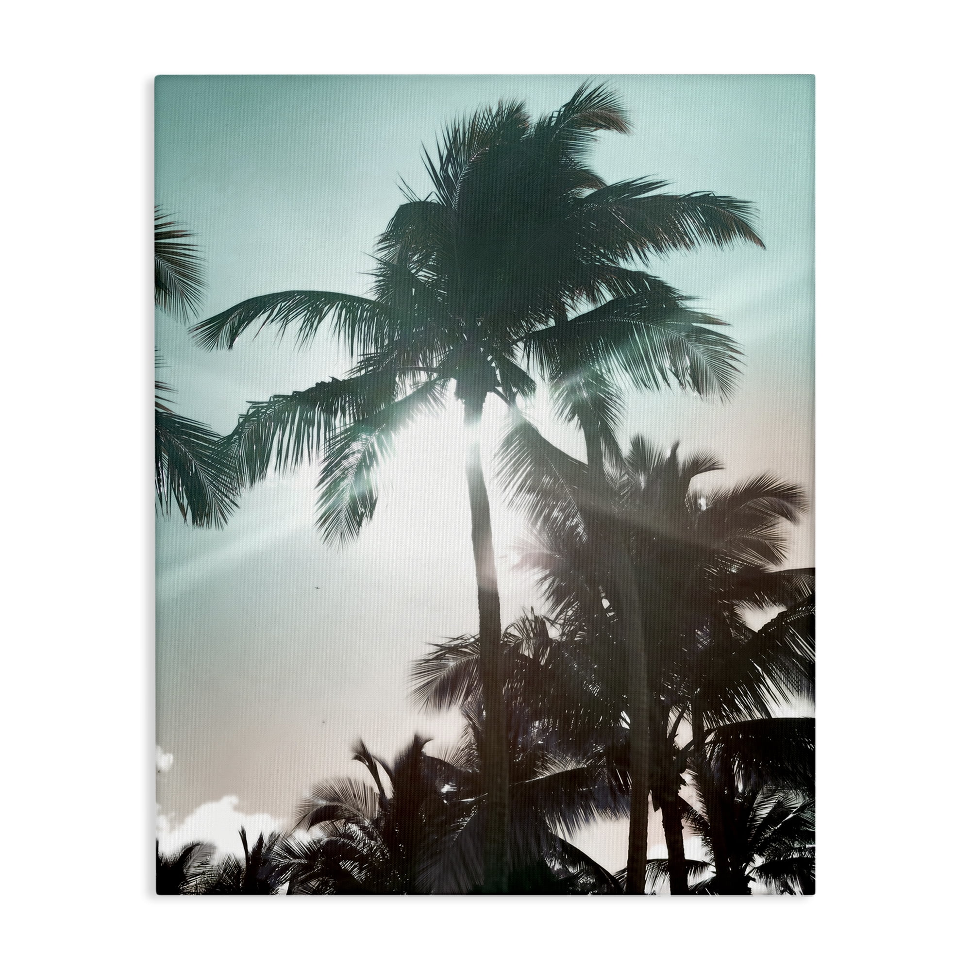 Stupell Industries Shady Palm Trees Coastal Photography Gallery Wrapped Canvas Art Print Wall Art, 30 x 40