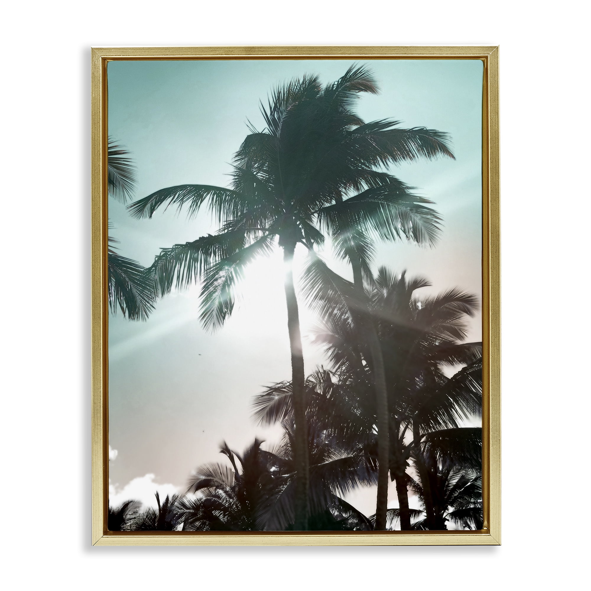Stupell Industries Shady Palm Trees Coastal Photography Gold Floater Framed Canvas Art Print Wall Art, 17 x 21