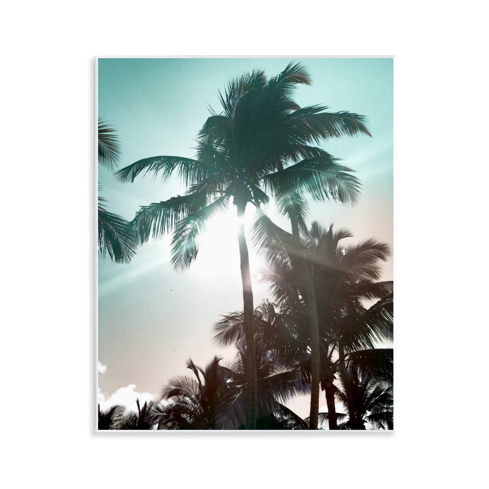 Shady Palm Trees Coastal Photography MDF Wall Art, 11 x 14
