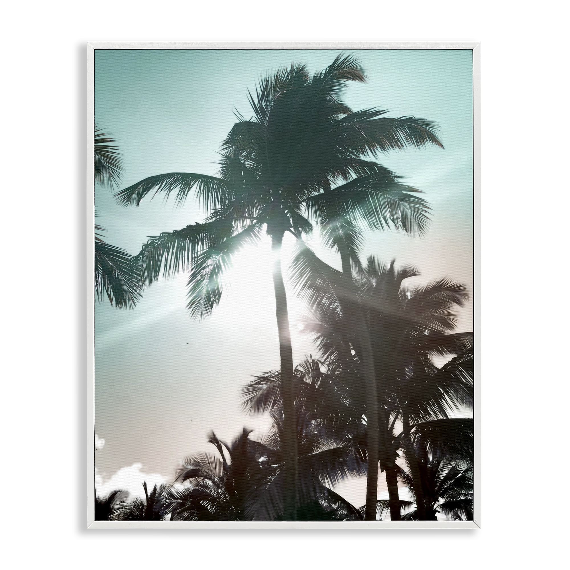Stupell Industries Shady Palm Trees Coastal Photography White Framed Art Print Wall Art, 16 x 20