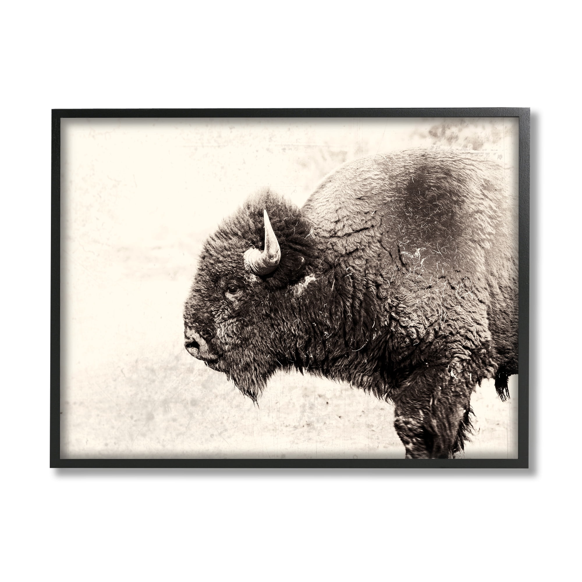 Stupell Industries Shaggy Buffalo Rustic Portrait Vintage Sepia Tone Photography, 14 x 11,Design by Nancy Crowell