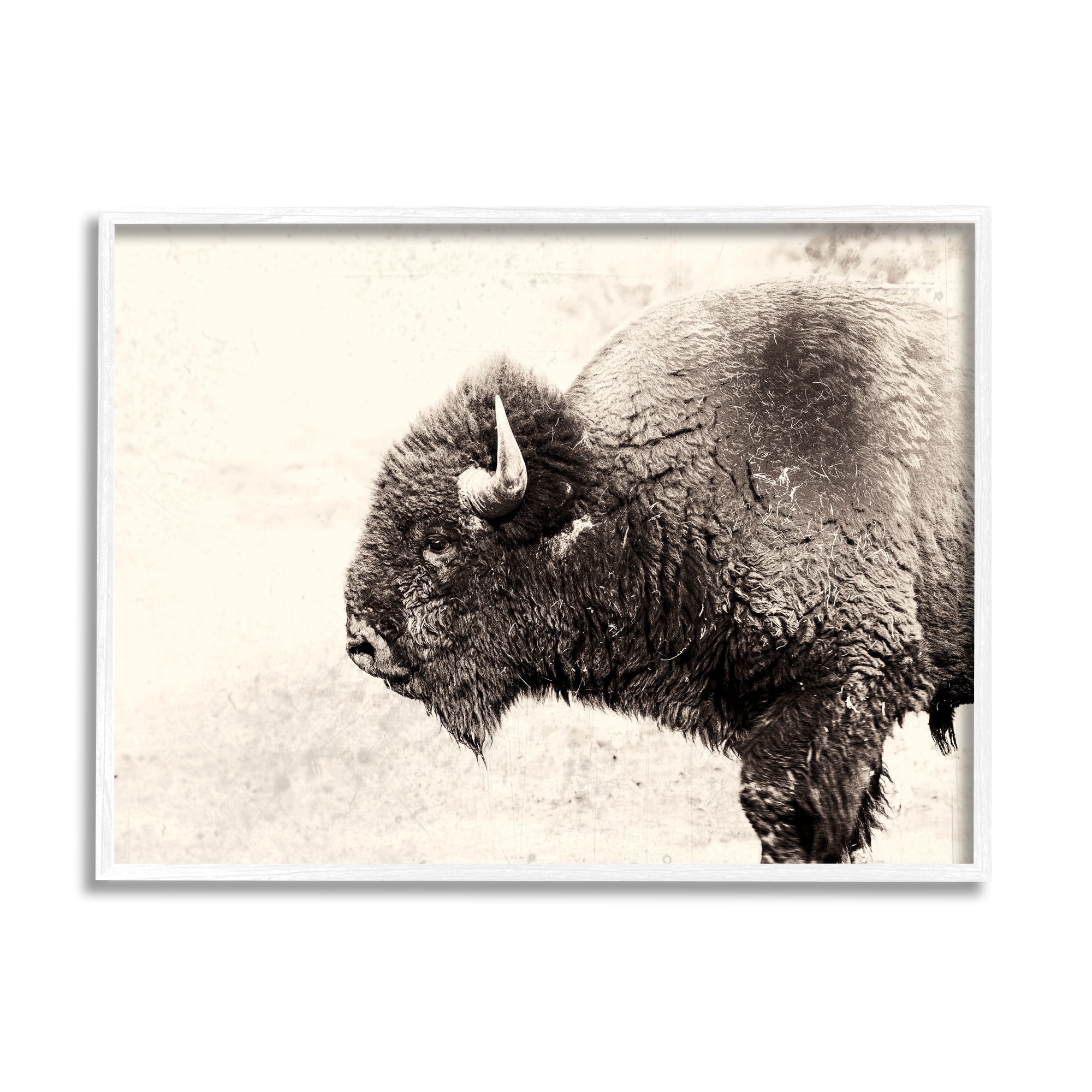 Stupell Industries Shaggy Buffalo Rustic Portrait Vintage Sepia Tone Photography, 14 x 11,Design by Nancy Crowell