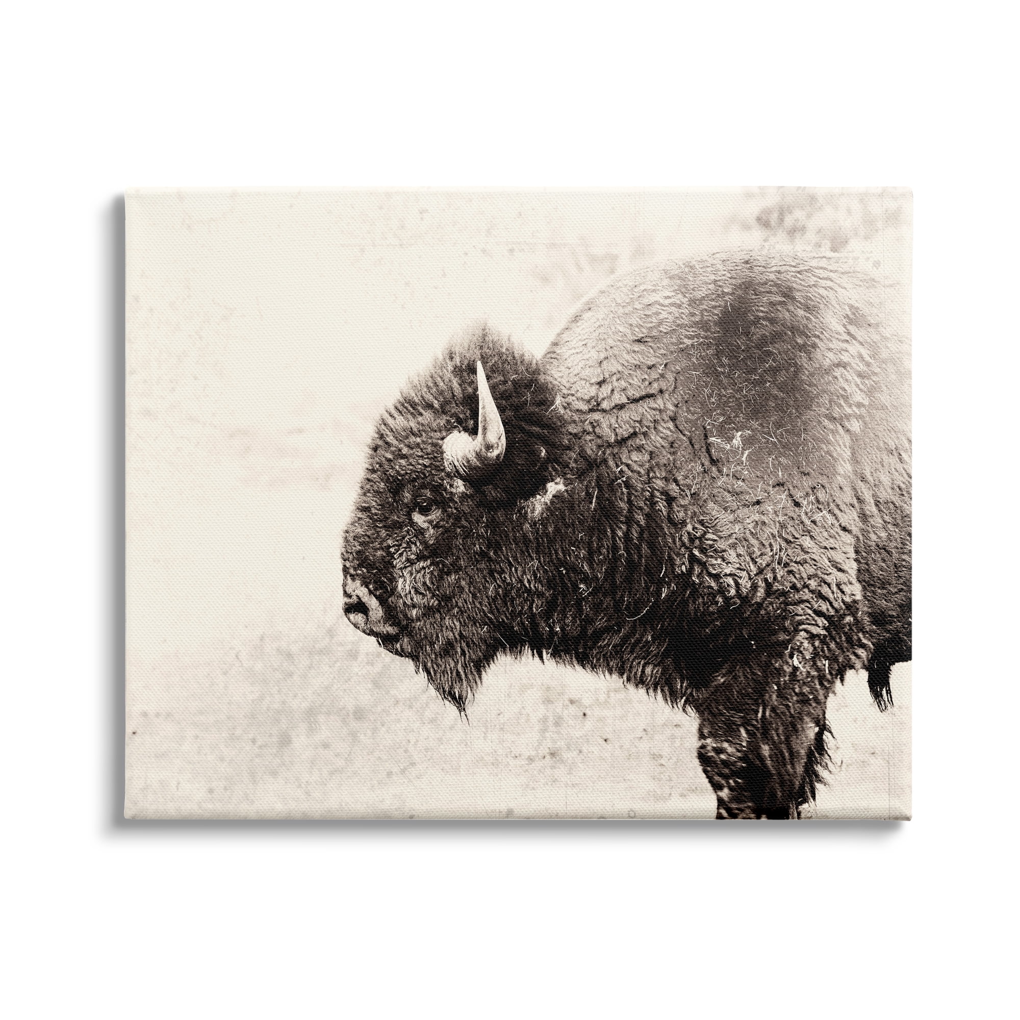 Stupell Industries Shaggy Buffalo Rustic Portrait Vintage Sepia Tone Photography, 20 x 16,Design by Nancy Crowell