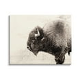 thumbnail image 1 of Stupell Industries Shaggy Buffalo Rustic Portrait Vintage Sepia Tone Photography, 48 x 36,Design by Nancy Crowell, 1 of 5