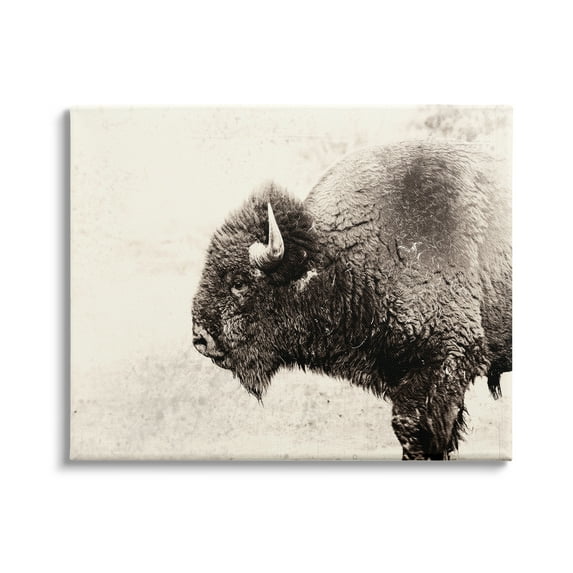 Stupell Industries Shaggy Buffalo Rustic Portrait Vintage Sepia Tone Photography, 48 x 36,Design by Nancy Crowell