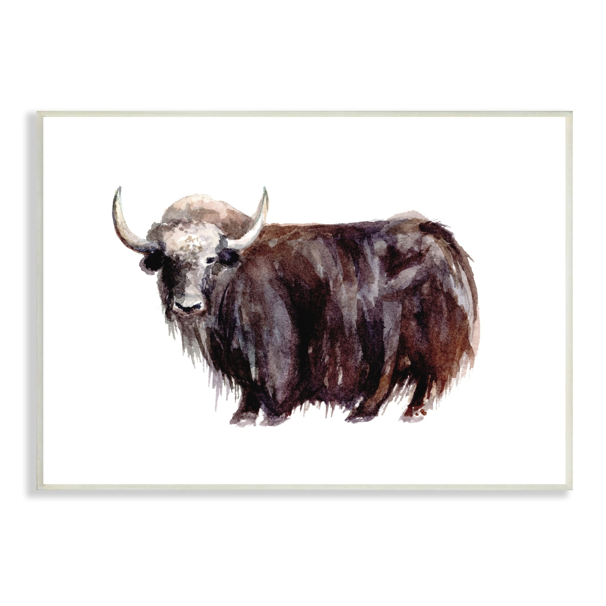 Stupell Industries Shaggy Cattle Watercolor Painting Farm Animal Yak Portrait, 19 x 13,Design by Fox Hollow Studios