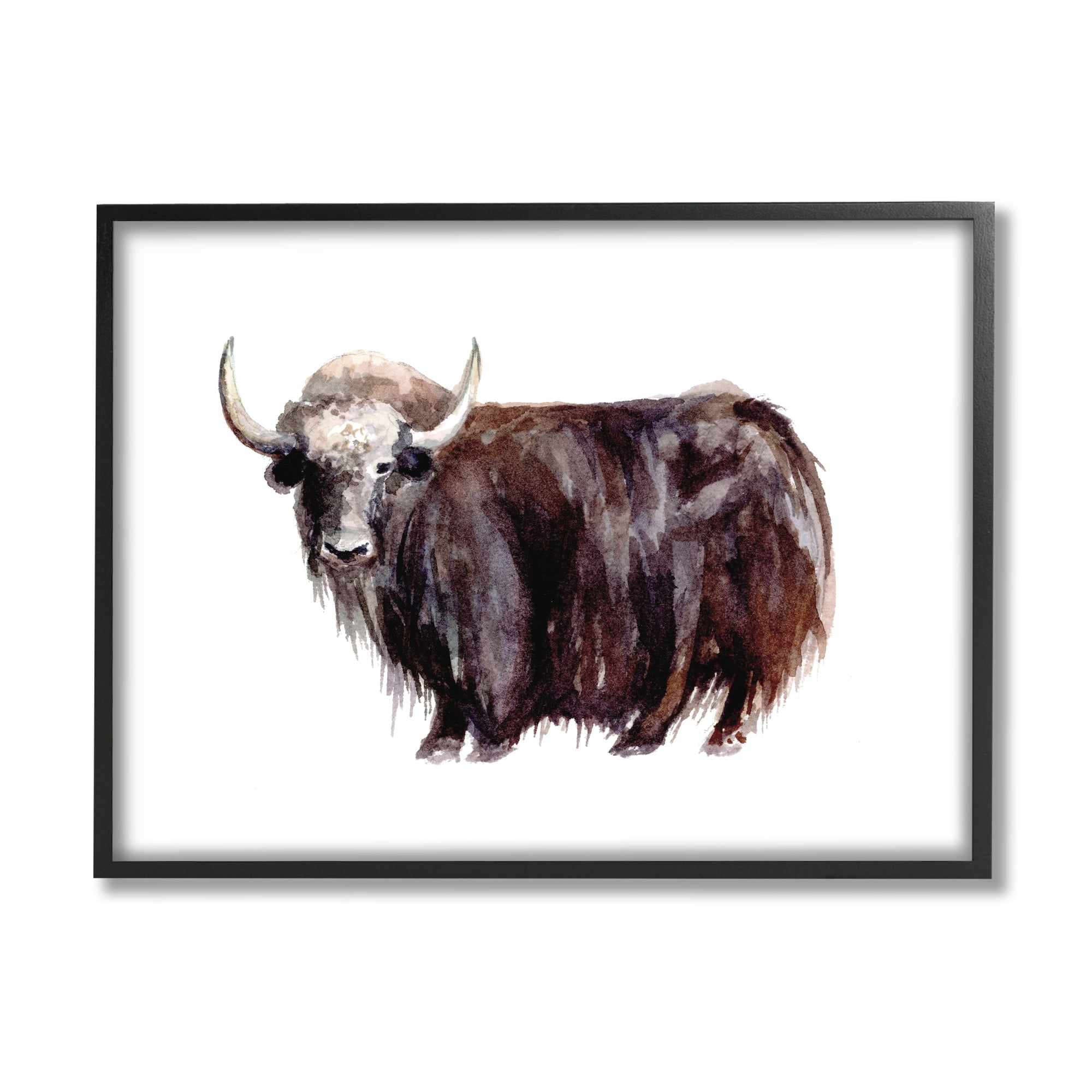 Stupell Industries Shaggy Cattle Watercolor Painting Farm Animal Yak Portrait, 20 x 16,Design by Fox Hollow Studios
