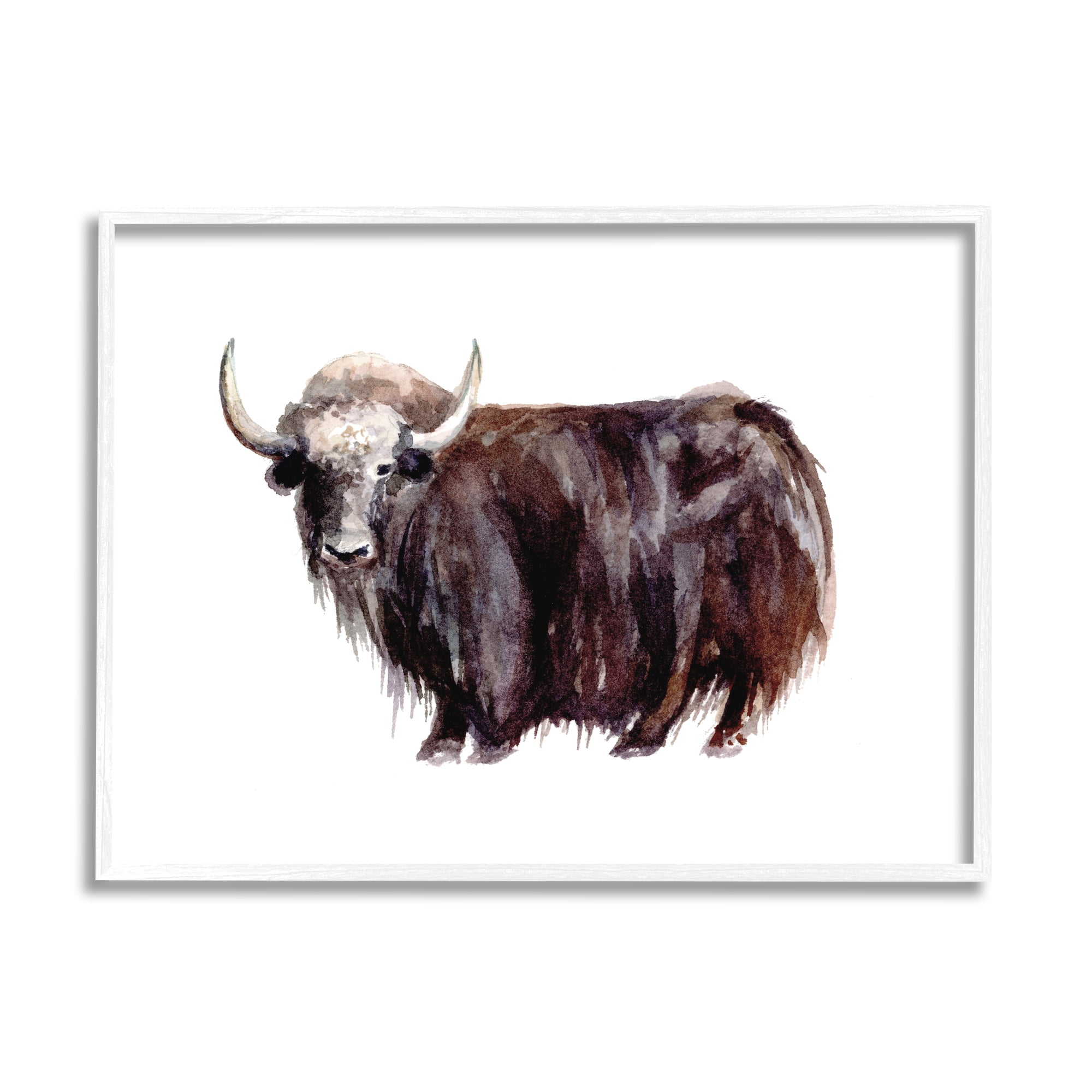 Stupell Industries Shaggy Cattle Watercolor Painting Farm Animal Yak Portrait, 30 x 24,Design by Fox Hollow Studios
