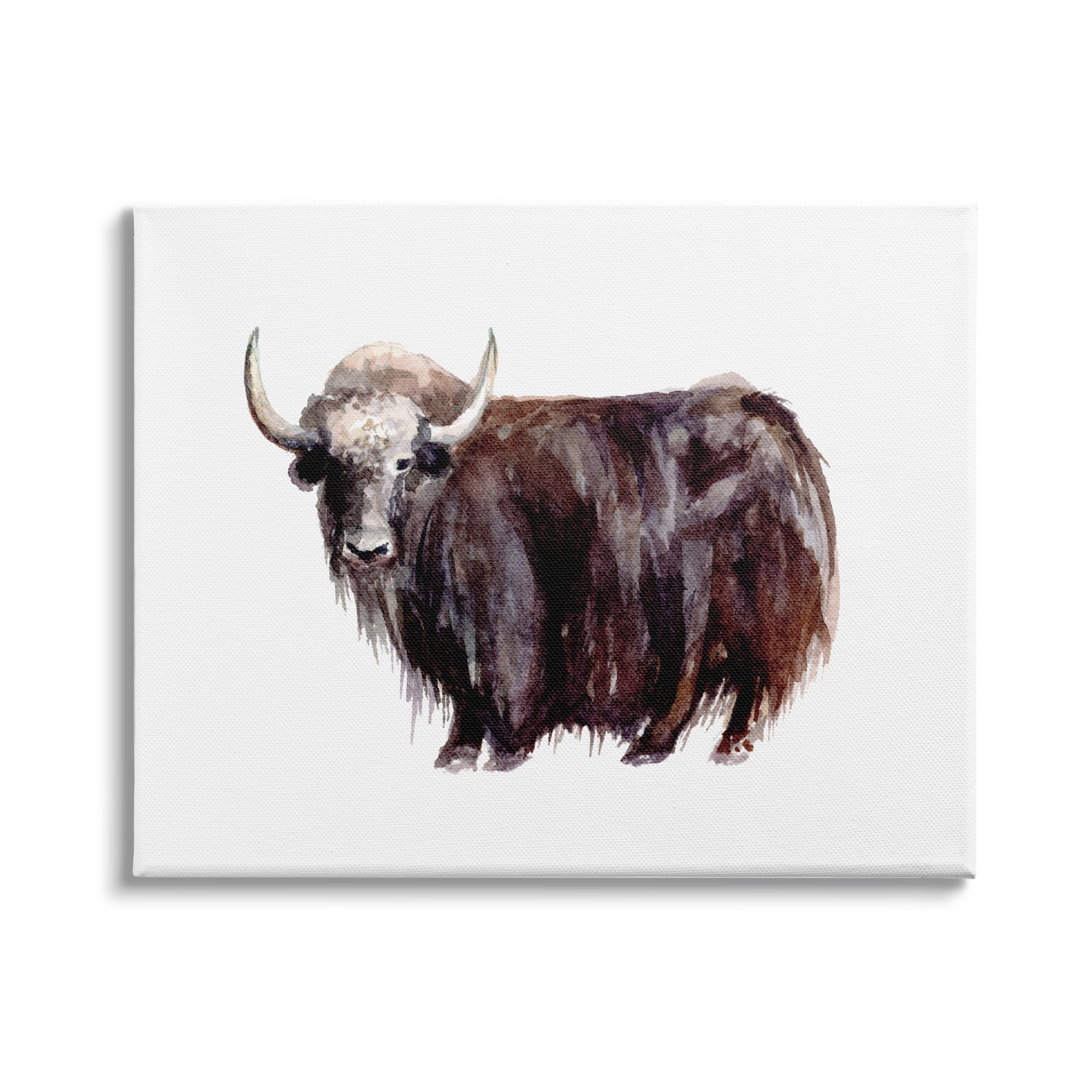 Stupell Industries Shaggy Cattle Watercolor Painting Farm Animal Yak Portrait, 48 x 36,Design by Fox Hollow Studios