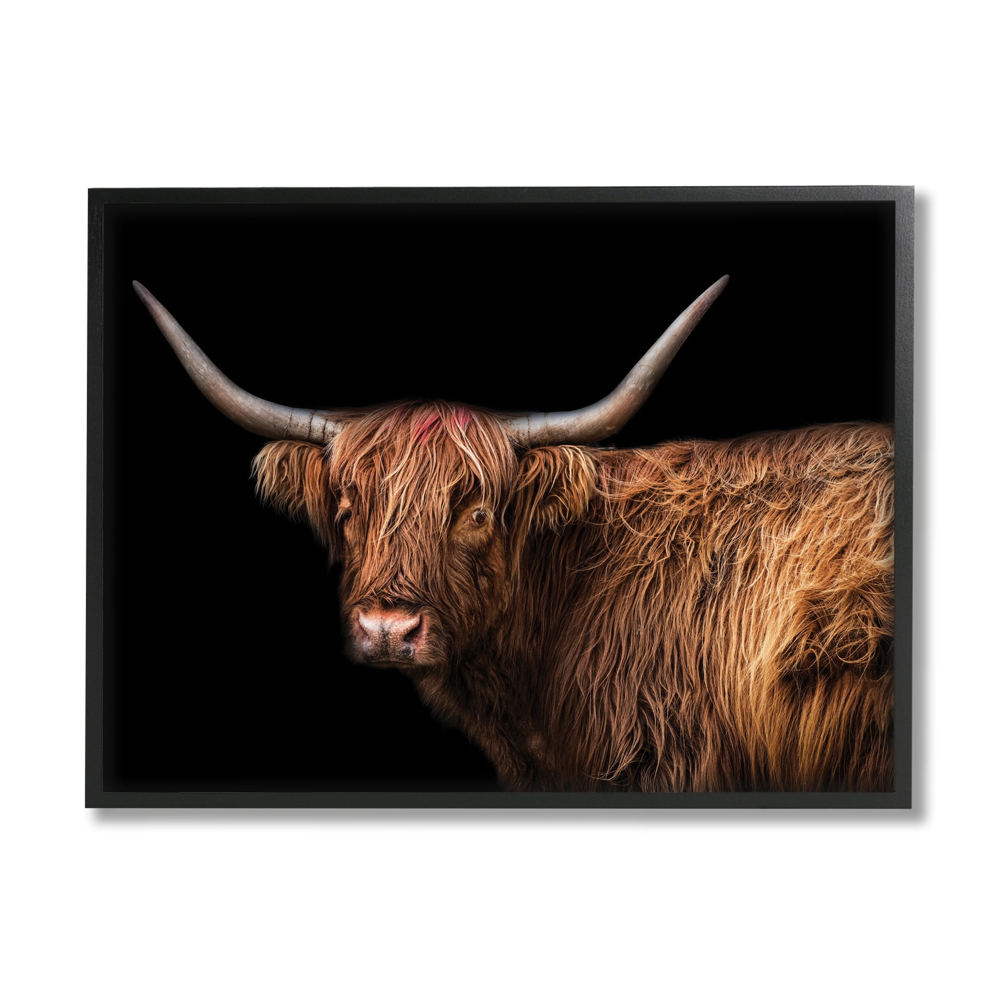 Stupell Industries Shaggy Farm Cattle Brown Country Animal Animals & Insects Photography Black Framed Art Print Wall Art, 16 x 20