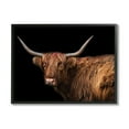 thumbnail image 1 of Stupell Industries Shaggy Farm Cattle Brown Country Animal Animals & Insects Photography Black Framed Art Print Wall Art, 24 x 30, 1 of 7