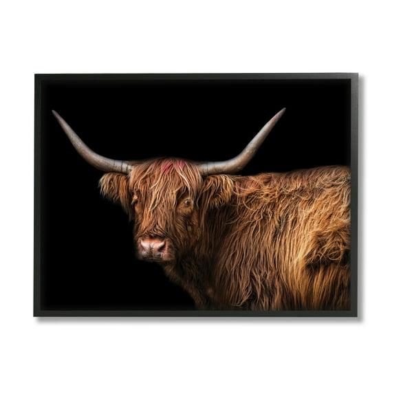 Stupell Industries Shaggy Farm Cattle Brown Country Animal Animals & Insects Photography Black Framed Art Print Wall Art, 24 x 30