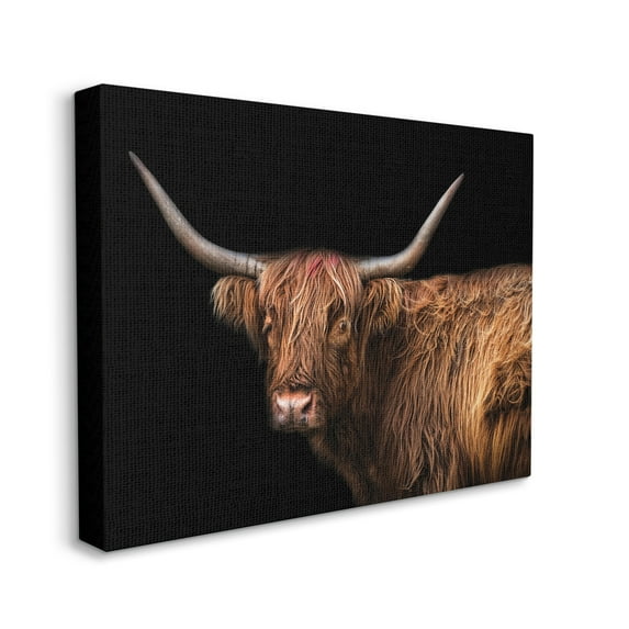 Stupell Industries Shaggy Farm Cattle Brown Country Animal Animals & Insects Photography Gallery Wrapped Canvas Art Print Wall Art, 36 x 48