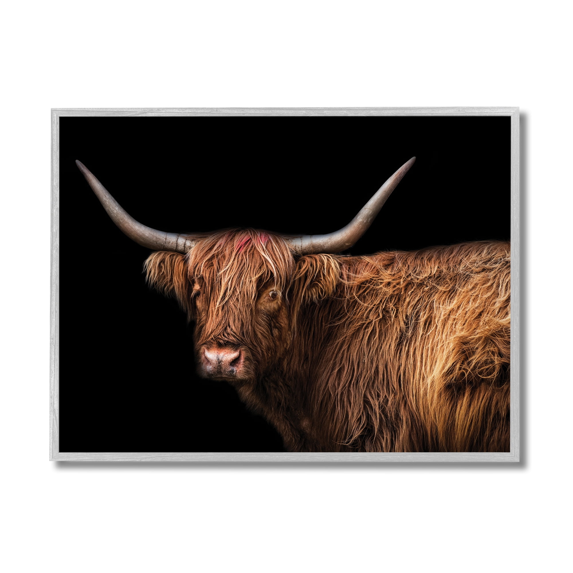 Stupell Industries Shaggy Farm Cattle Brown Country Animal Animals & Insects Photography Gray Framed Art Print Wall Art, 11 x 14