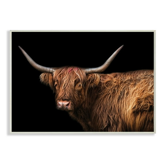 Stupell Industries Shaggy Farm Cattle Brown Country Animal Animals & Insects Photography Unframed Art Print Wall Art, 13 x 19