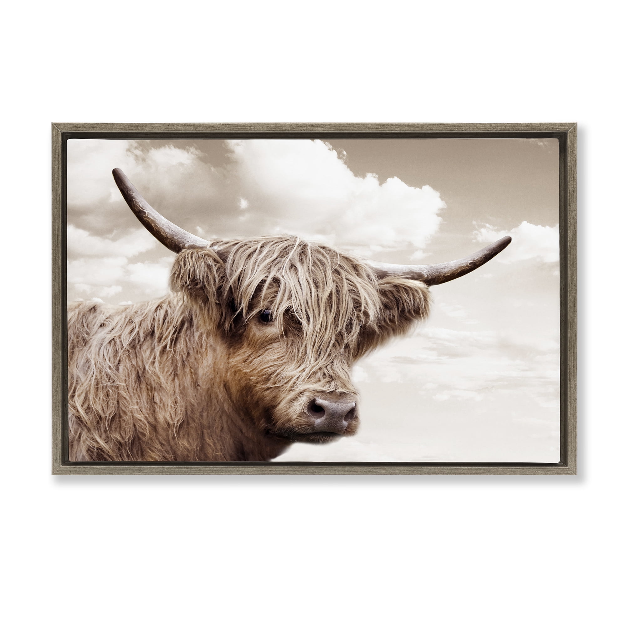 Stupell Industries Shaggy Highland Cow & Clouds Brown Framed Floater Canvas Wall Art, design by CAD Designs