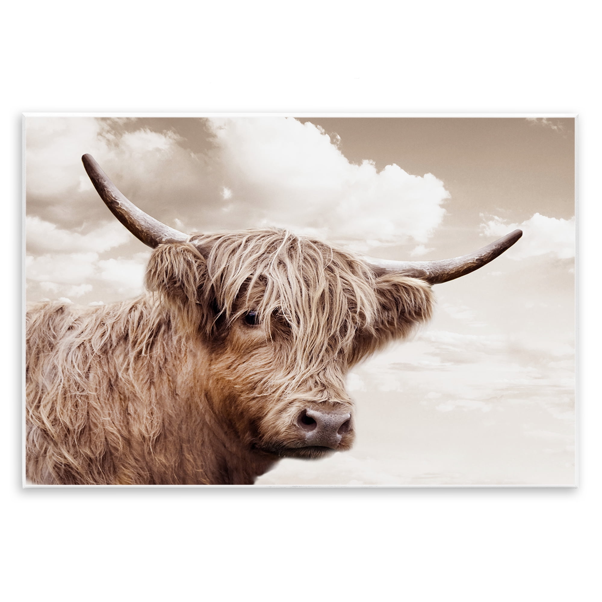 Stupell Industries Shaggy Highland Cow & Clouds Wall Plaque Art, design by CAD Designs