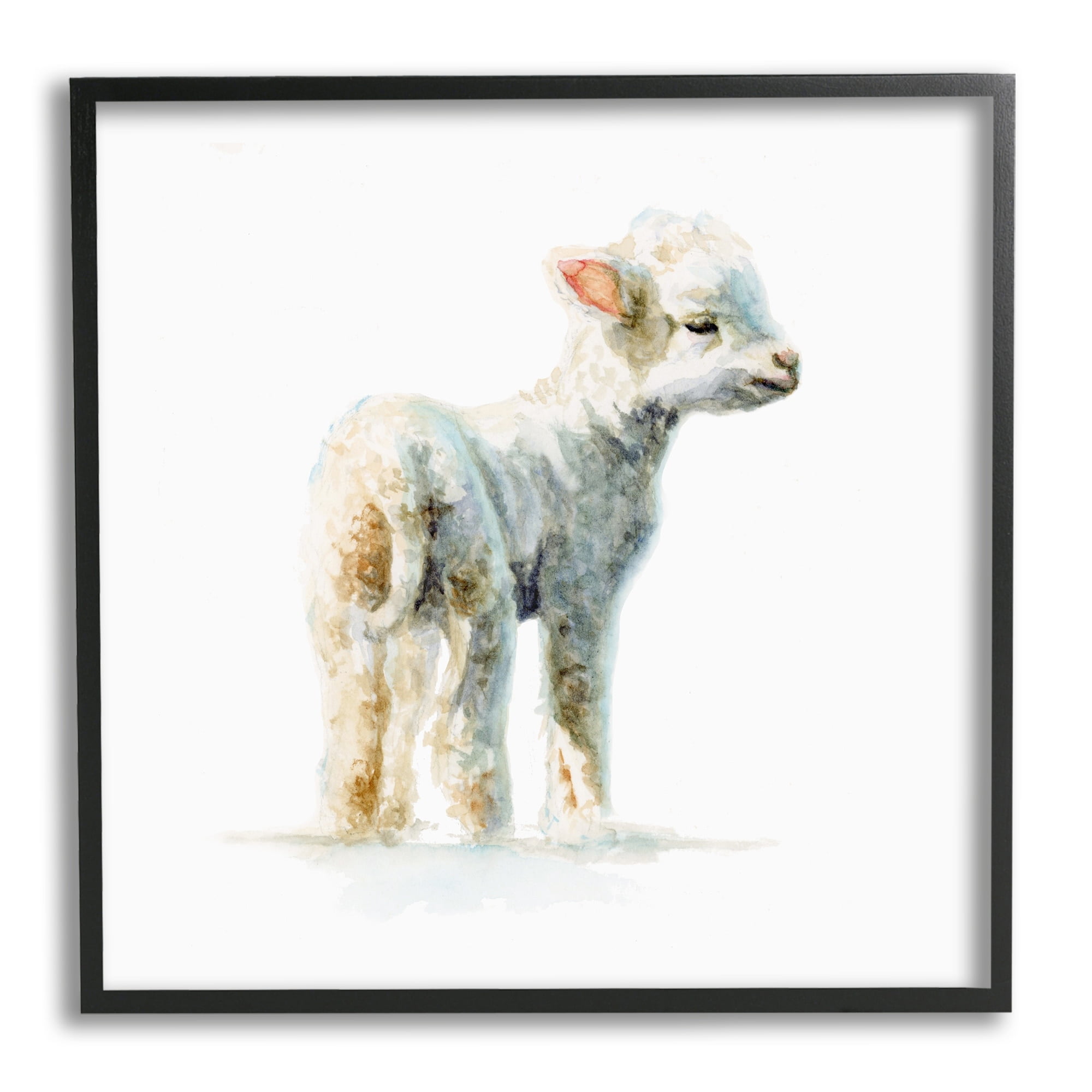 Stupell Industries Shaggy Lamb Watercolor Painting Children's Nursery Animal, 12 x 12,Design by Fox Hollow Studios