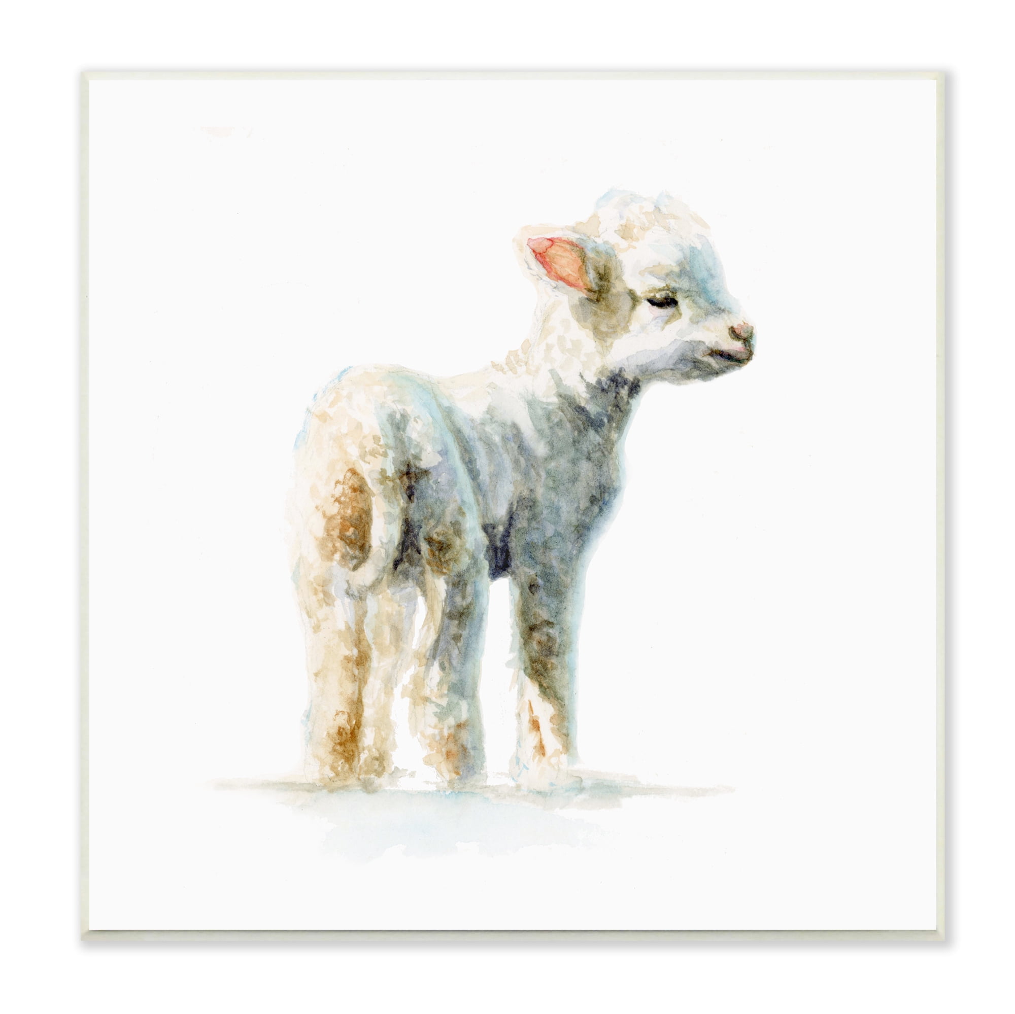 Stupell Industries Shaggy Lamb Watercolor Painting Children's Nursery Animal, 12 x 12,Design by Fox Hollow Studios