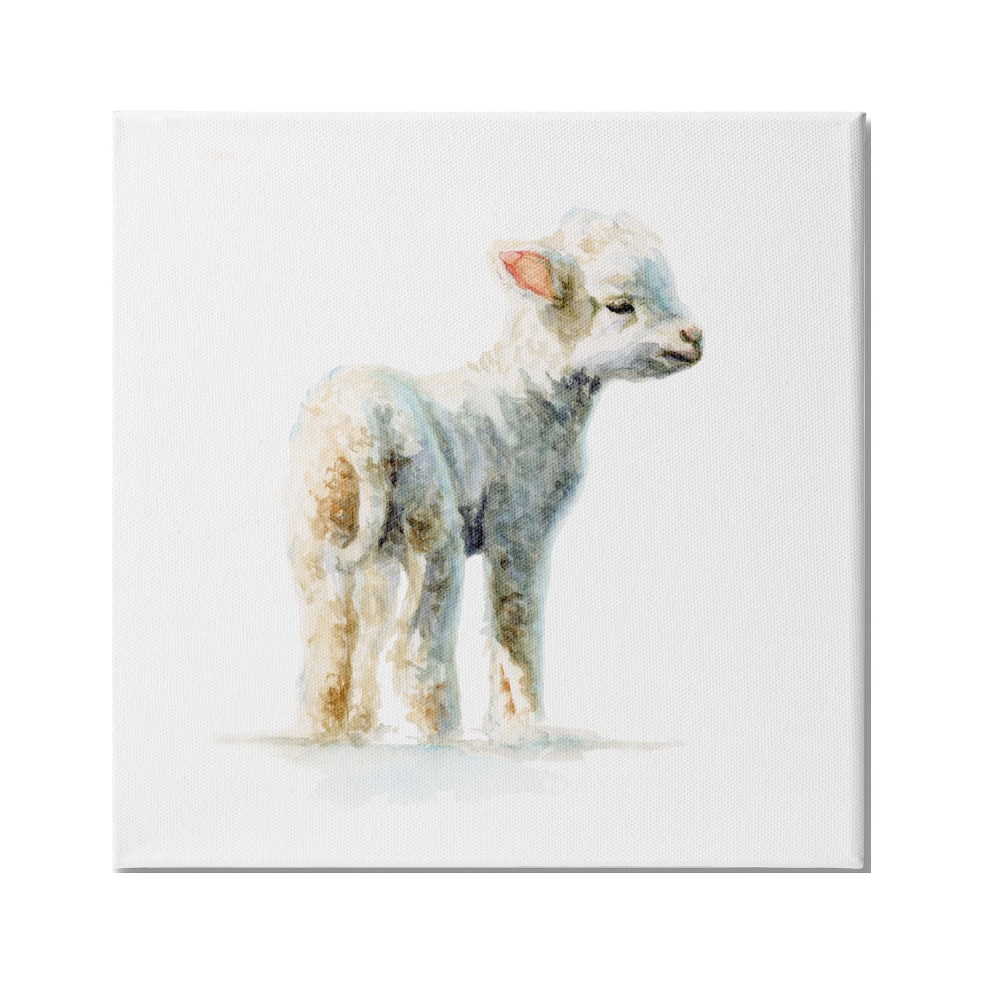 Stupell Industries Shaggy Lamb Watercolor Painting Children's Nursery Animal, 36 x 36,Design by Fox Hollow Studios