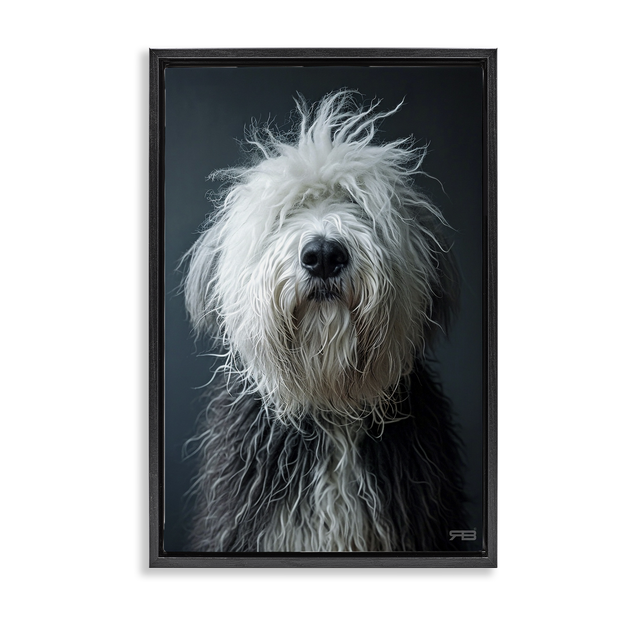 Stupell Industries Shaggy Pup Portrait Animals & Insects Painting Black Floater Framed Canvas Art Print Wall Art, 21 x 31
