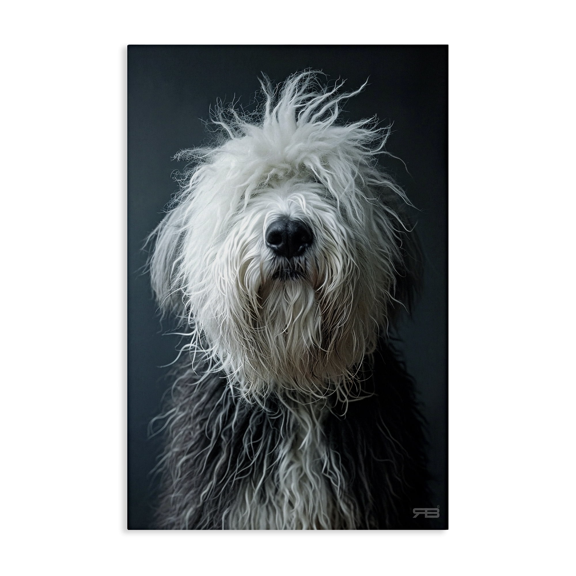Stupell Industries Shaggy Pup Portrait Animals & Insects Painting Gallery Wrapped Canvas Art Print Wall Art, 24 x 36