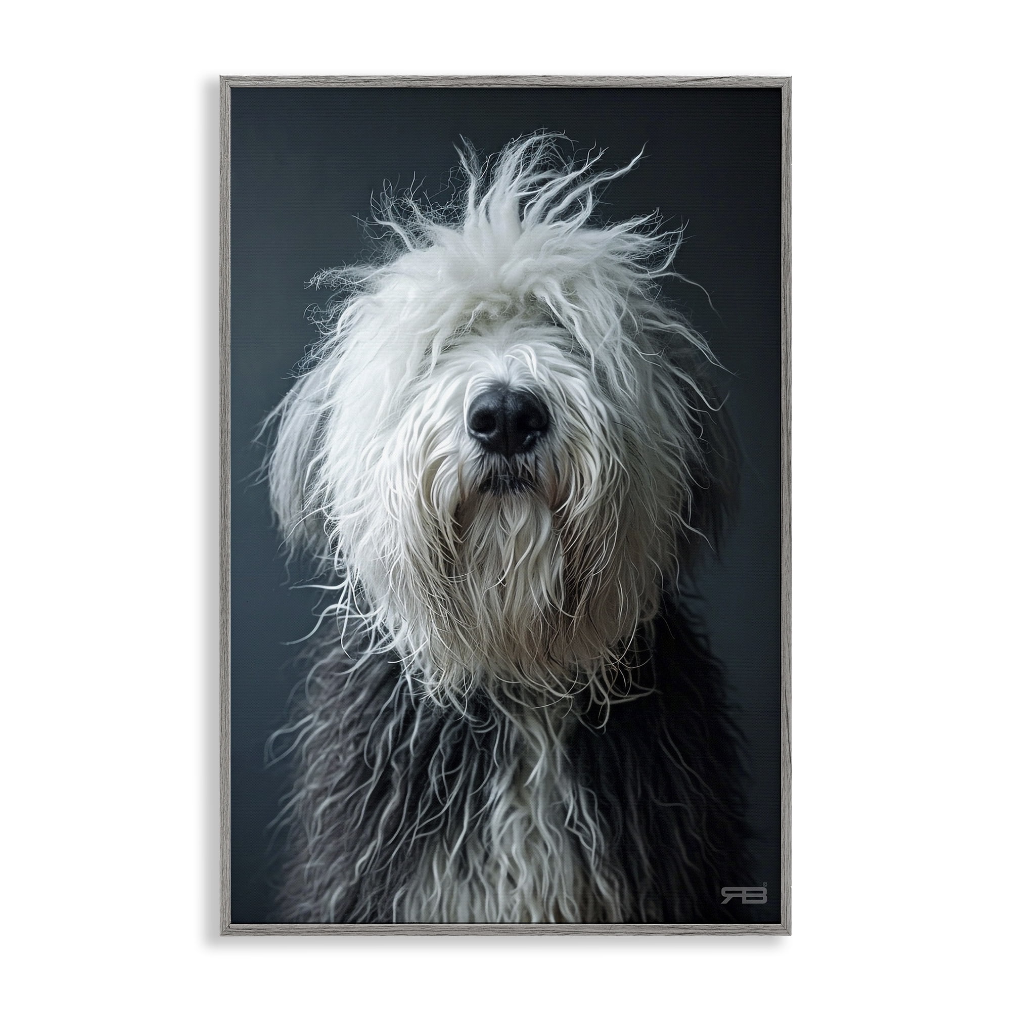 Stupell Industries Shaggy Pup Portrait Animals & Insects Painting Gray Framed Art Print Wall Art, 20 x 30