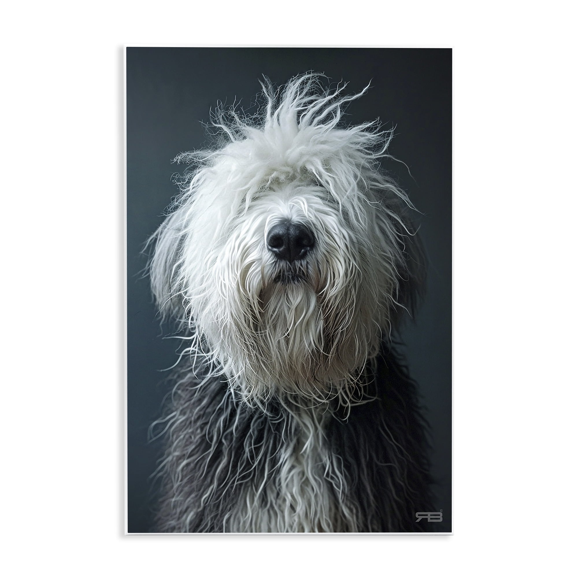 Stupell Industries Shaggy Pup Portrait Animals & Insects Painting Unframed Art Print Wall Art, 13 x 19