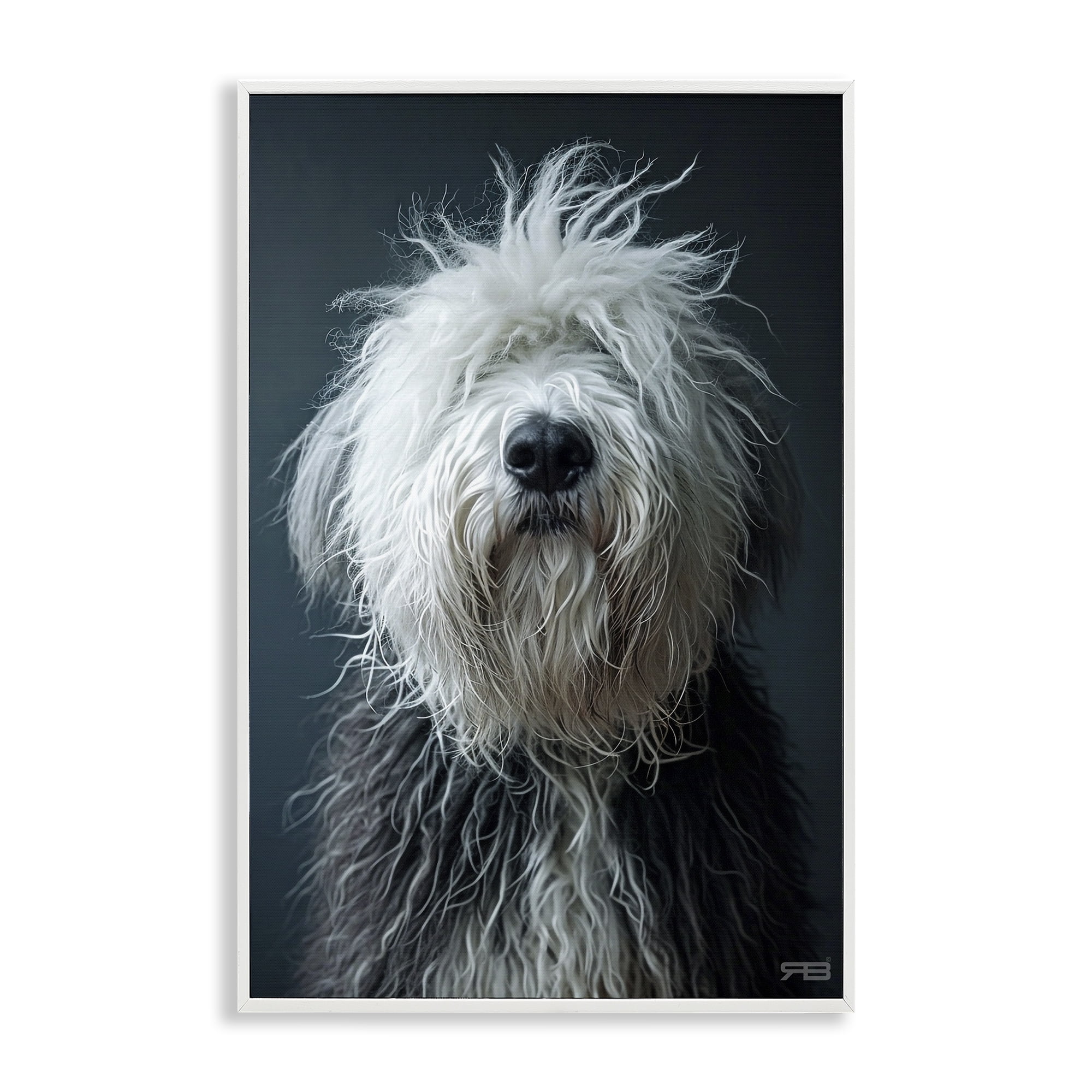 Stupell Industries Shaggy Pup Portrait Animals & Insects Painting White Framed Art Print Wall Art, 16 x 24