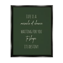 Stupell Industries Shape Life's Destiny Phrase Inspirational Painting Black Floater Framed Canvas Art Print Wall Art, 17 x 21