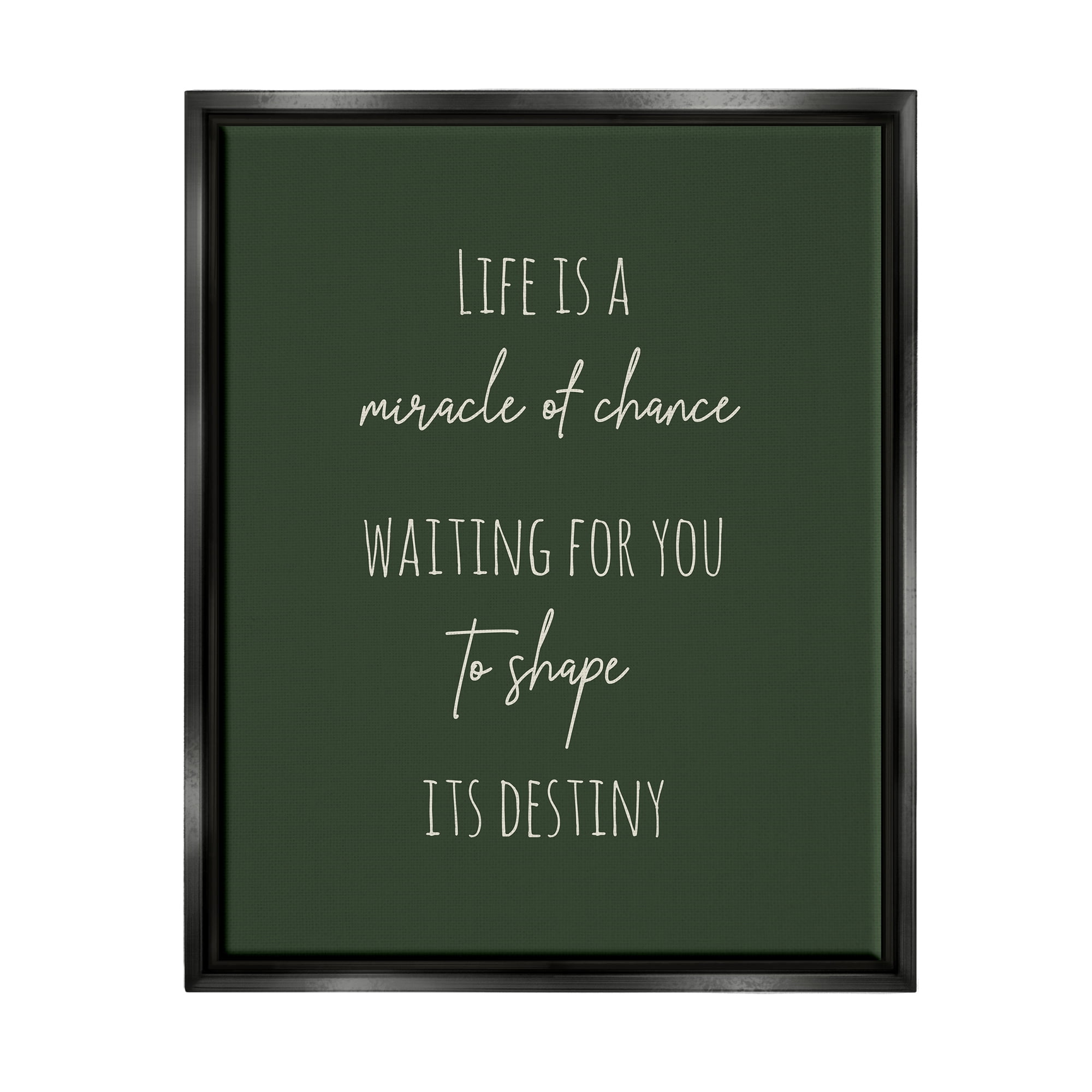 Stupell Industries Shape Life's Destiny Phrase Inspirational Painting Black Floater Framed Canvas Art Print Wall Art, 25 x 31