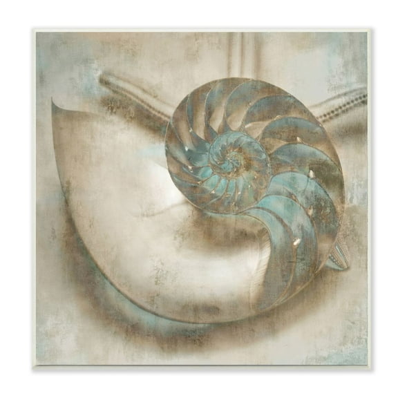 Stupell Industries Sharkeye Seashell Distressed Texture Blue Tan Design Wall Plaque by Ziwei Li