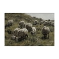 thumbnail image 1 of Stupell Industries Sheep At Pasture Landscape Painting Gallery Wrapped Canvas Art Print Wall Art, 24 x 16, 1 of 8
