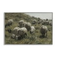 thumbnail image 1 of Stupell Industries Sheep At Pasture Landscape Painting Gray Framed Art Print Wall Art, 24 x 16, 1 of 10