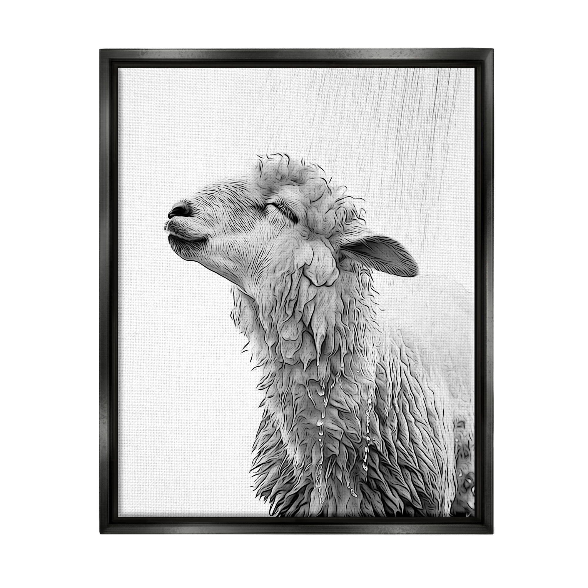 Stupell Industries Sheep Bathroom Splash Animals & Insects Painting Black Floater Framed Canvas Art Print Wall Art, 17 x 21