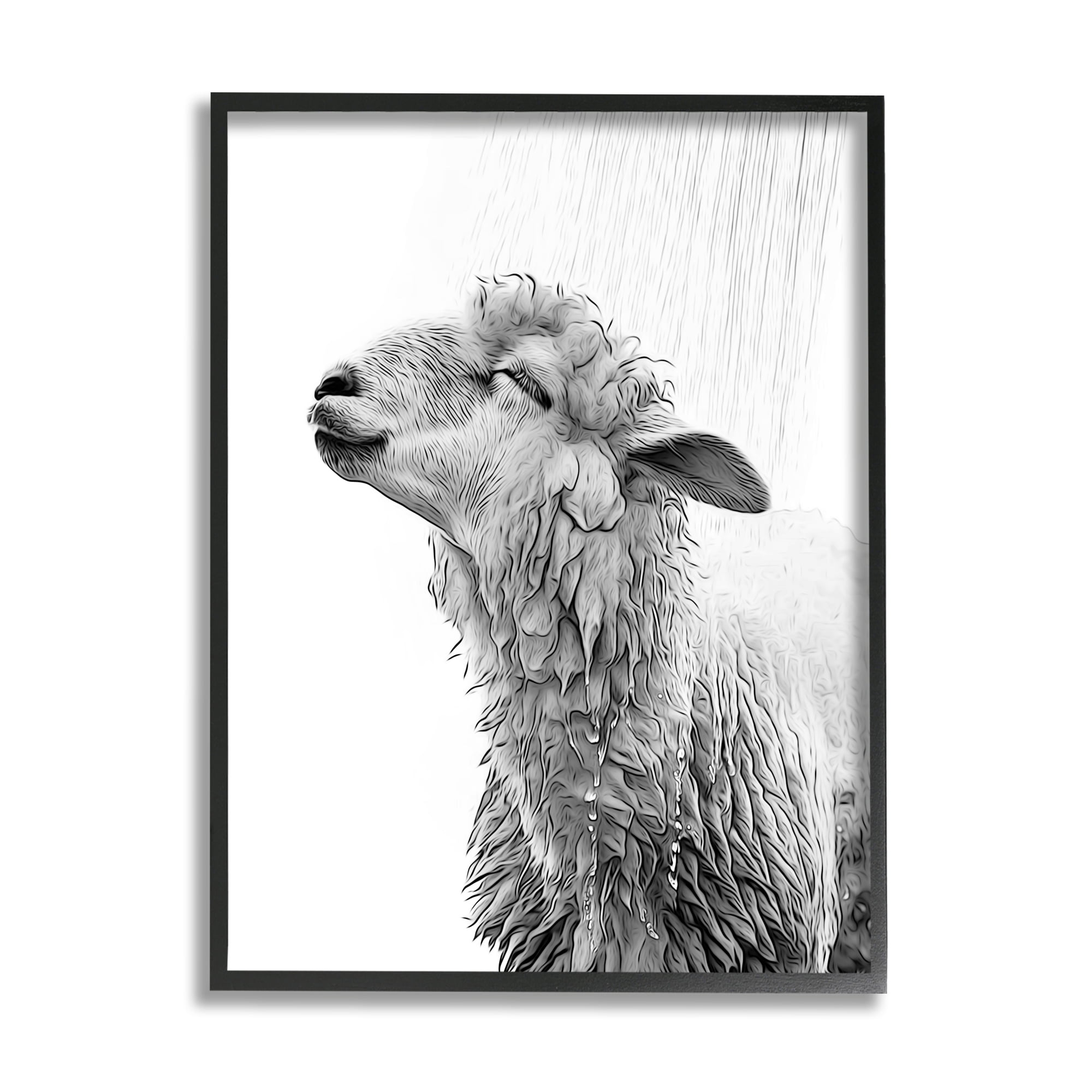 Stupell Industries Sheep Bathroom Splash Animals & Insects Painting Black Framed Art Print Wall Art, 11 x 14