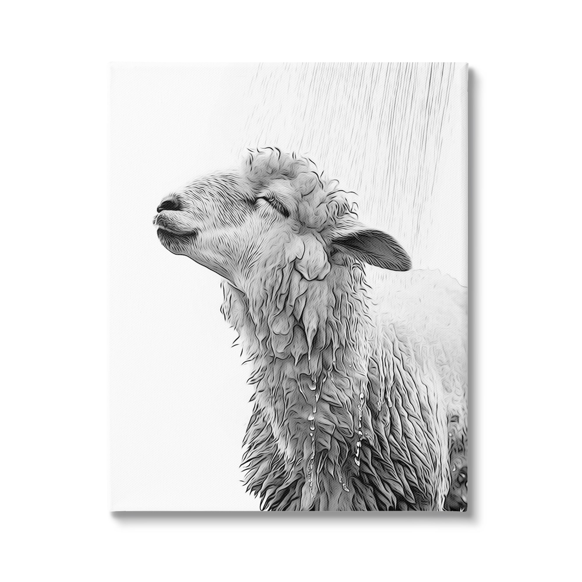 Stupell Industries Sheep Bathroom Splash Animals & Insects Painting Gallery Wrapped Canvas Art Print Wall Art, 36 x 48