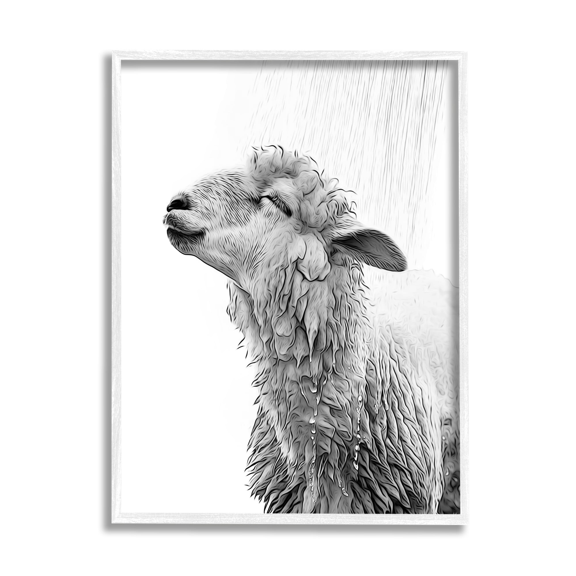 Stupell Industries Sheep Bathroom Splash Animals & Insects Painting White Framed Art Print Wall Art, 11 x 14