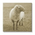 thumbnail image 1 of Stupell Industries Sheep Grazing Farmland Photography Animals & Insects Photography Gallery Wrapped Canvas Print Wall Art, 1 of 5