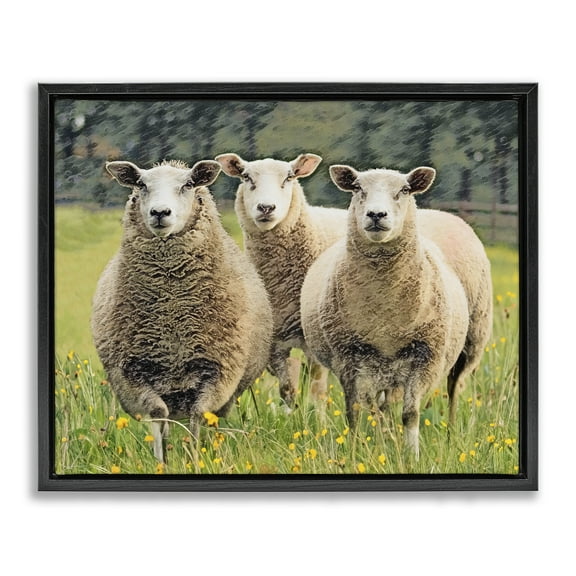 Stupell Industries Sheep Grazing in Grass Animals & Insects Painting Black Floater Framed Canvas Art Print Wall Art, 21 x 17
