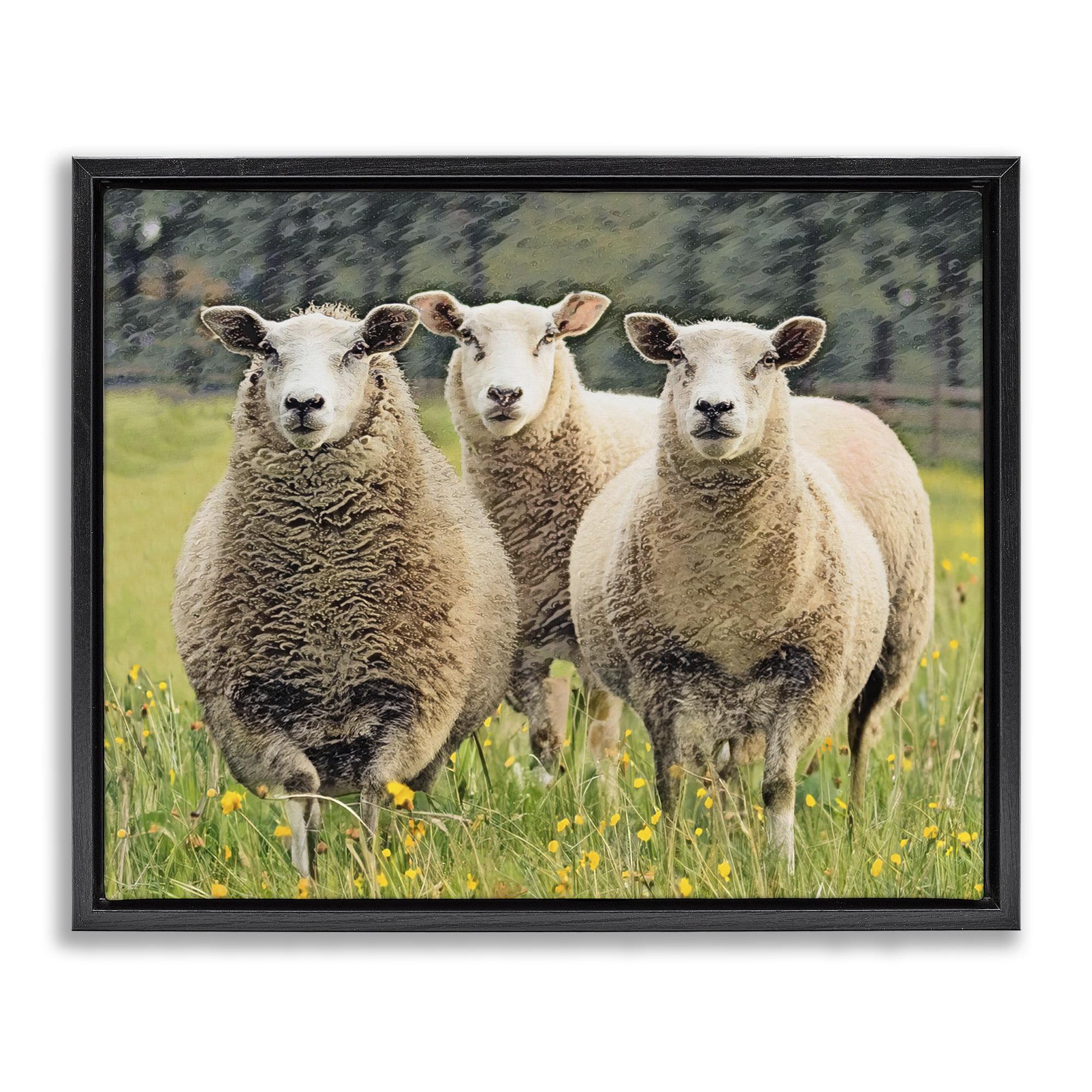 Stupell Industries Sheep Grazing in Grass Animals & Insects Painting Black Floater Framed Canvas Art Print Wall Art, 31 x 25
